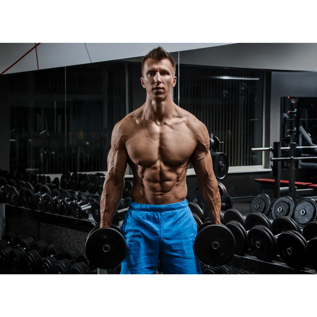 Program de antrenament - Exercitii masa musculara