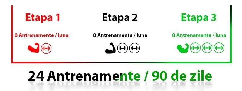 Etape antrenament program Brate mari