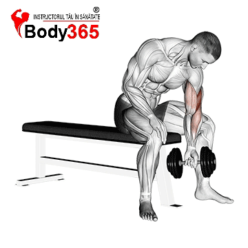 Flexii concentrate cu gantera - Exercitiu definire pentru Biceps