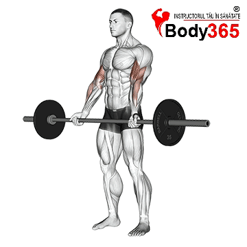 Flexii biceps cu bara dreapta - Exercitiu pentru crestere in masa musculara si definire bicepsi