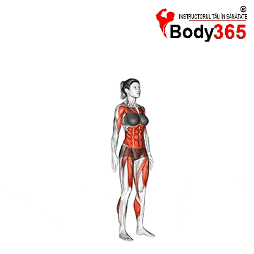 Exercitiu Burpee Femei - Exercitii Cardio