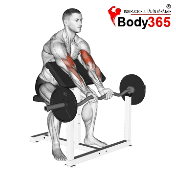 Flexii biceps cu Bara Z la Banca Scott - Exercitiu dezvoltare masa si forta biceps