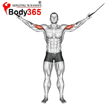 FLEXII DEASUPRA CAPULUI PENTRU BICEPS