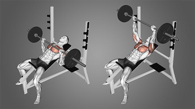 Impins cu bara dreapta din inclinat - Exercitiu crestere forta si masa musculara pectorali