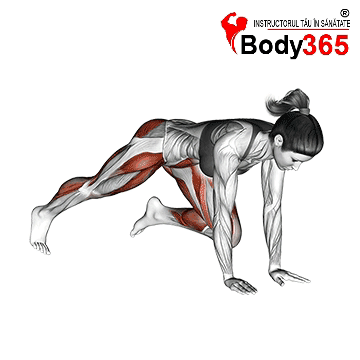 Exercițiul Mountain Climber: Tehnică Corectă, Beneficii și Includerea în Rutina de Antrenament