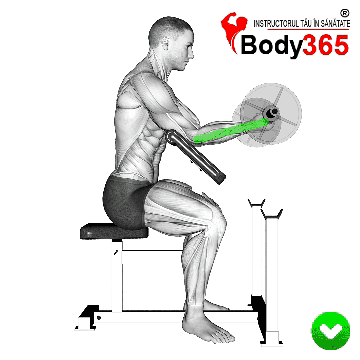 Flexii cu bara Z la banca Scott - pozitie corecta