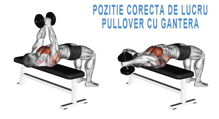 Pullover cu gantera - POZITIE CORECTA DE LUCRU