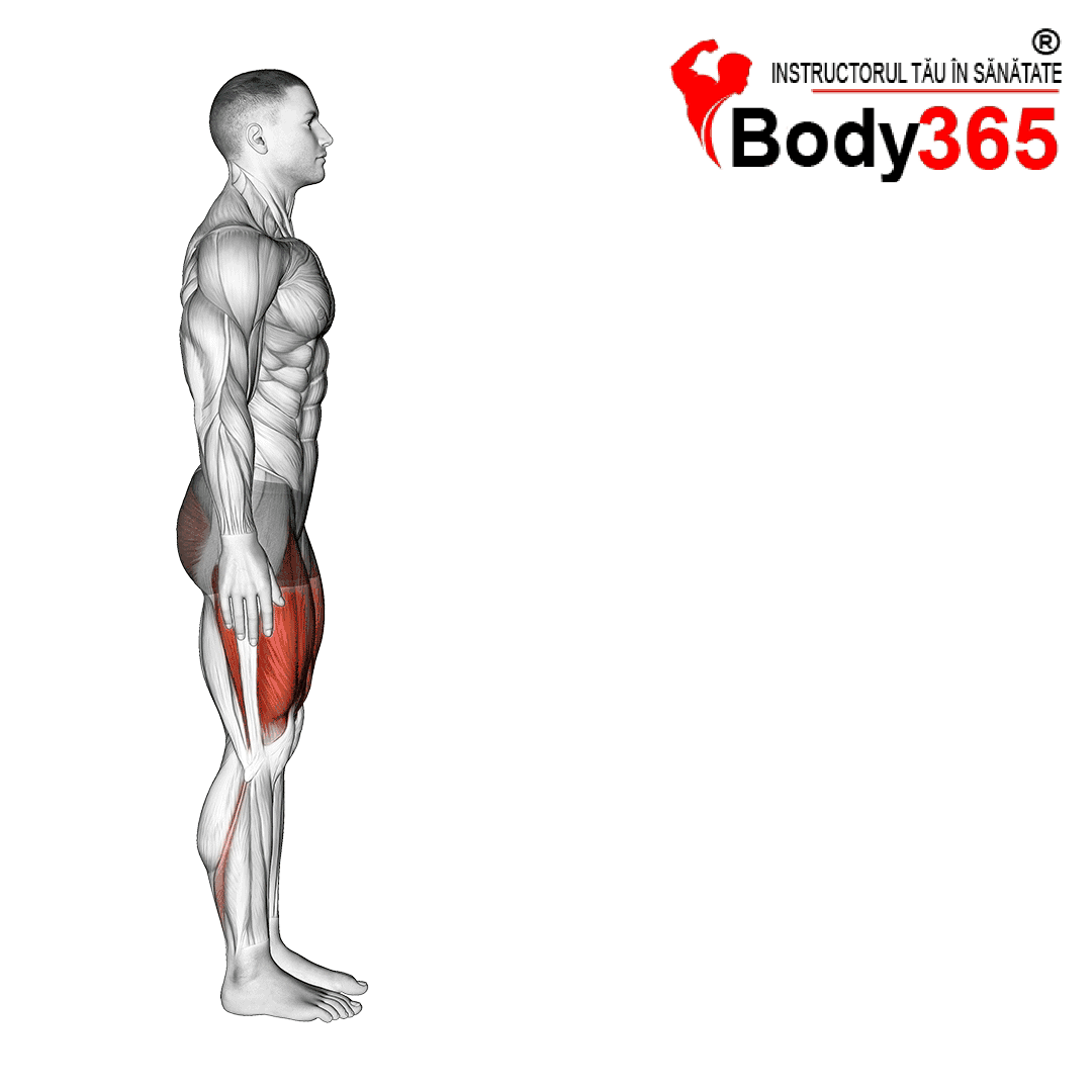 Fandari cu piciorul in fata (lunges)