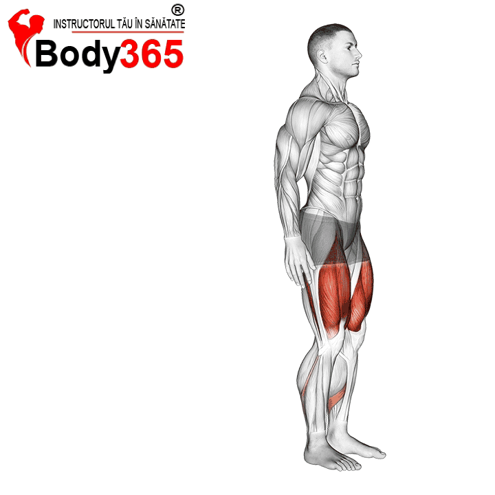 Fandari Înapoi cu greutatea corpului mod de executare