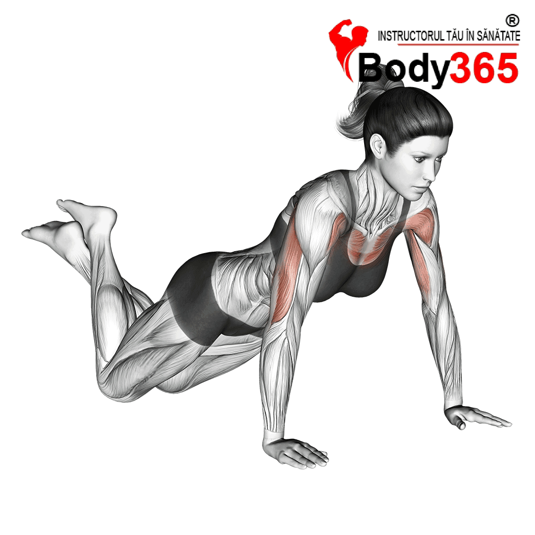 Flotari cu sprijin pe genunchi: Mod de executare