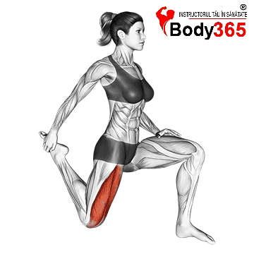 Exercitiu Stretching Biceps Femural
