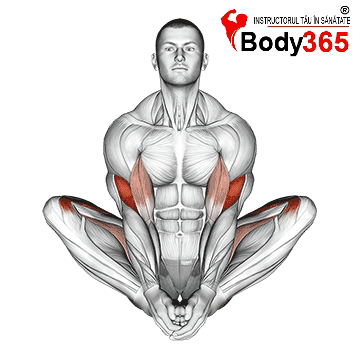 Stretching: Importanta și Beneficiile pentru Mobilitate