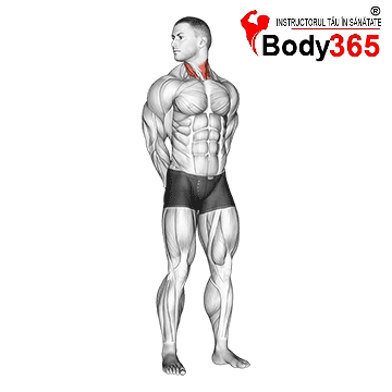 Exercitiu Stretching Gat