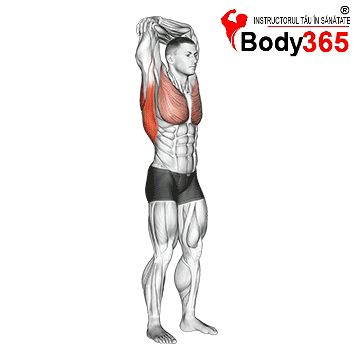 Exercitiu Stretching Piept si spate