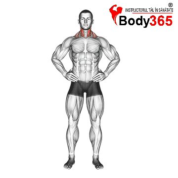 Stretching pentru muschii gatului