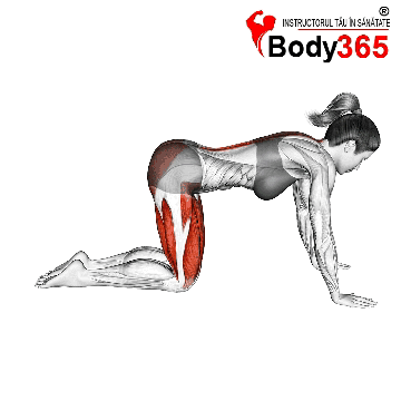 Exercitiu Stretching picioare, spate si fesieri