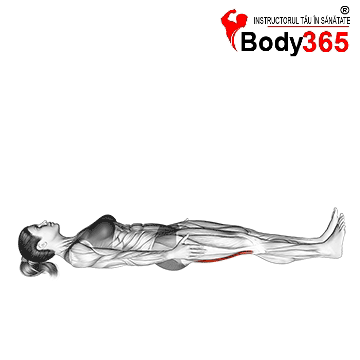 Stretching: Importanta și Beneficiile pentru Mobilitate