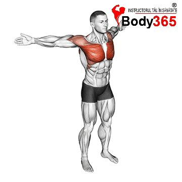 Stretching: Importanta și Beneficiile pentru Mobilitate