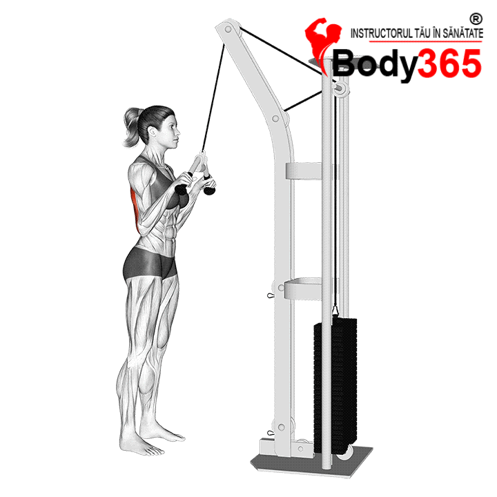 Extensii triceps la aparat cu funia - Beneficii