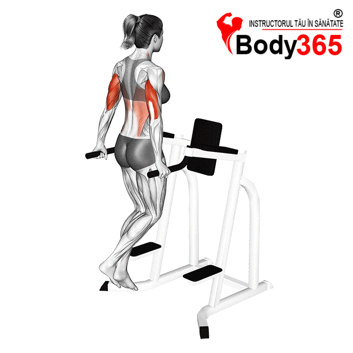 Exercitii Pentru Umeri Crestere Masa Musculara - Flotari la paralele pentru triceps si umeri