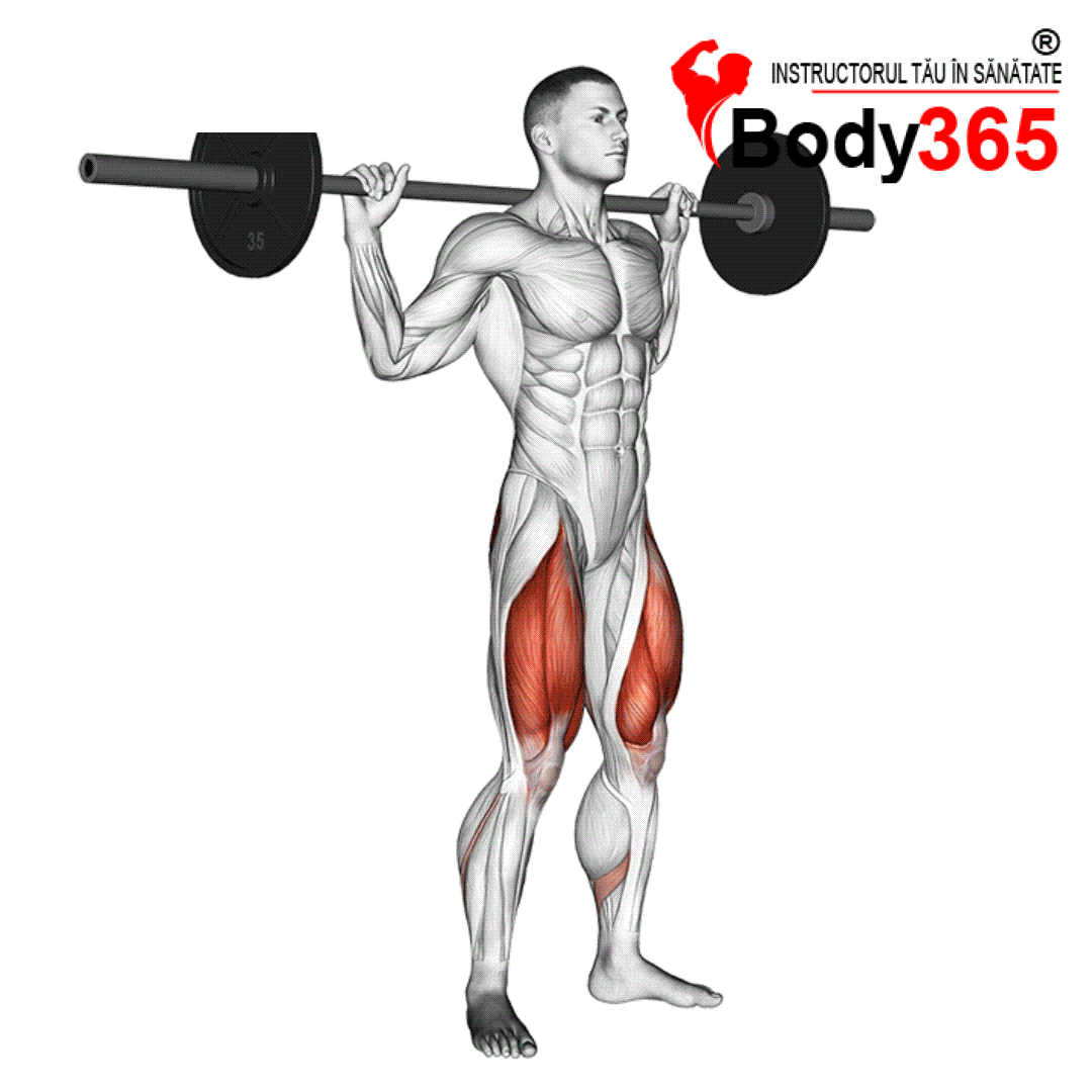 Genuflexiuni cu bara in spate (barbell Squats)