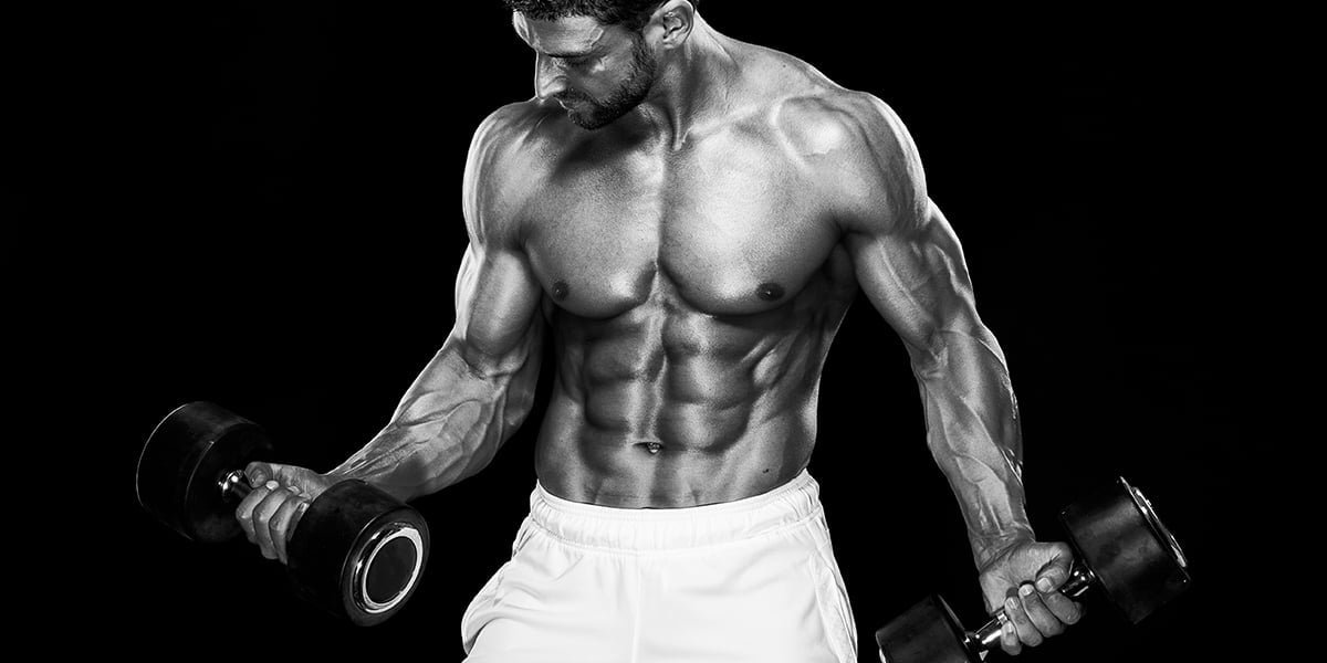 Program Gratuit Crestere Masa Musculara Brate introducere