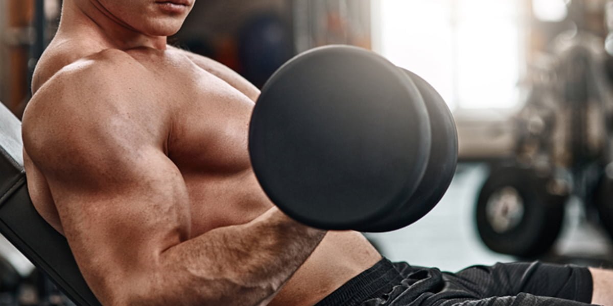 Program Gratuit Crestere Masa Musculara Brate ziua 2 antrenament
