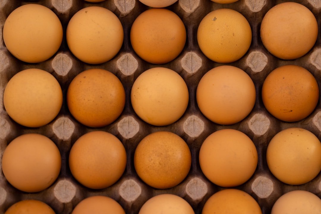 Proteine vegetale vs animale: Care sunt mai benefice pentru organism?